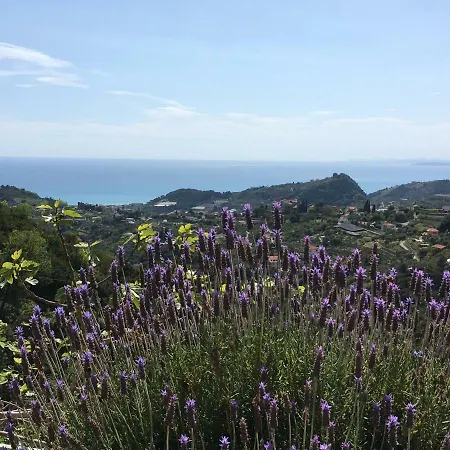 Il Mandarino *