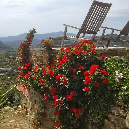 Ferienhaus Il Mandarino Vallebona